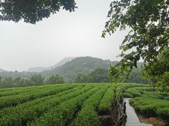 -西湖风景区十里琅珰-五云山