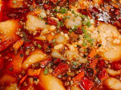 -刘胖子家常菜·蹄花焖藕(中南店)