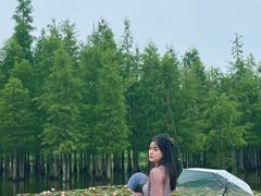 -白鹭湾湿地公园