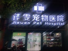 -佳雯宠物医院(金华南路分院)