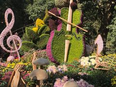 -杭州植物园