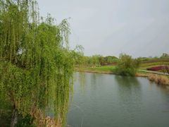 -梁鸿国家湿地公园