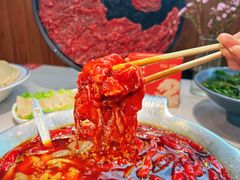 -渝大龙重庆火锅(温泉月亮湾店)