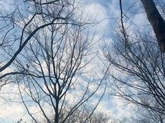 -木守西溪溪隐餐厅