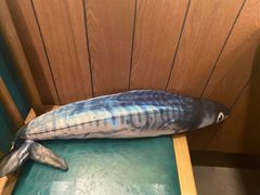 -望湘园·洞庭渔宴(永旺店)