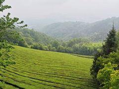 -敬亭山风景名胜区