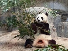 -保定市动物园