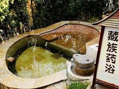 景点-白鹿温泉加勒比水上乐园