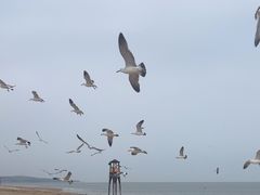-那香海钻石沙滩浴场