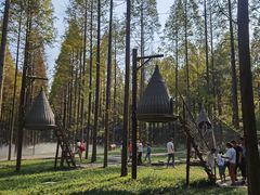 -黄海国家森林公园