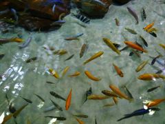 -上海海洋水族馆-停车场