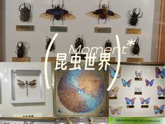-上海昆虫博物馆