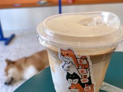 -喜柴咖啡·柴犬狗咖
