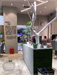 -眉毛先生MrBrow修眉染眉化妆