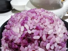 -新仙清汤牛腩(铜锣湾店)