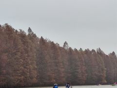 -上海海湾国家森林公园