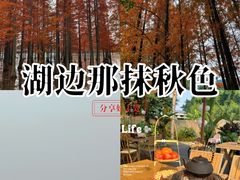 -白鹭湾湿地公园