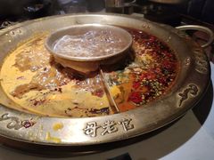 -新哥老官·畅吃123·美蛙世界(苏宁广场店)
