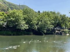 -鹿亭中村