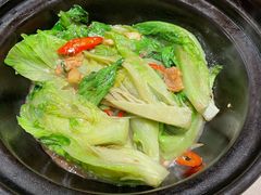 虾酱啫生菜煲-尚一汤·粤菜海鲜(环球港店)