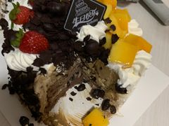 -维尔纳斯·生日蛋糕·动物奶油冰淇淋蛋糕(雨花店)
