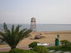 -碧海金沙