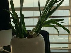 -瓦洛洛传统市场