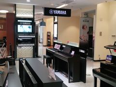 -知音艺术教育培训·钢琴培训·音乐培训(河西金鹰世界校区)