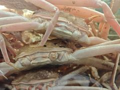 -丰卓会海鲜自助(中润大道店)