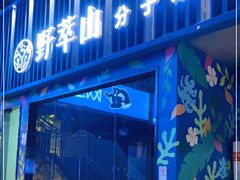 门面-野萃山·潮汕厚果汁(十亩地店)
