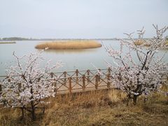 -野鸭湖国家湿地公园
