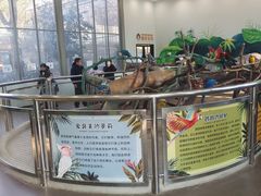 -无锡动物园·太湖欢乐园