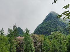 -柳侯公园