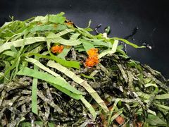 明太子意大利面-Ginger(兴国路店)