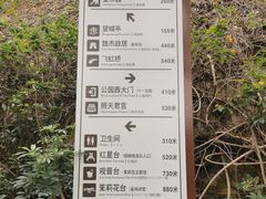 -金鸡山公园
