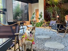 -J Create城市露营咖啡·简餐·宠物(上海动物园店)