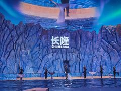 -珠海长隆海洋王国