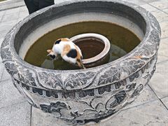-四门塔风景区