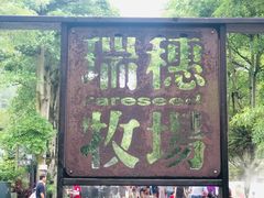 -瑞穗牧场