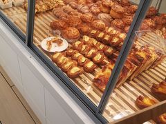 -蒲公英(五里店)