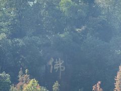 -三水森林公园