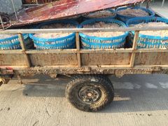 -浪琴湾尾角仔海鲜坊