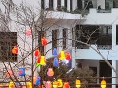 -巴倒烫陆派火锅山庄(南山总店)