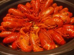 -天伦松鹤大饭店·欣妮咖啡