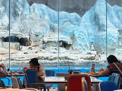 -帝企鹅自助餐厅•儿童岛•真企鹅(长隆企鹅酒店)