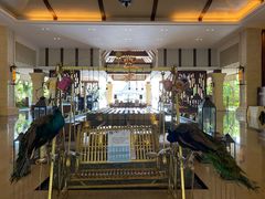 -西双版纳融创皇冠假日度假酒店