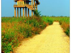 -野鸭湖国家湿地公园