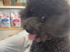 -宠颐生宠物医院外科·内科·皮肤科·影像科(石龙店)