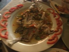 -Red Lobster