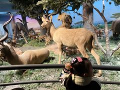 -国家自然博物馆